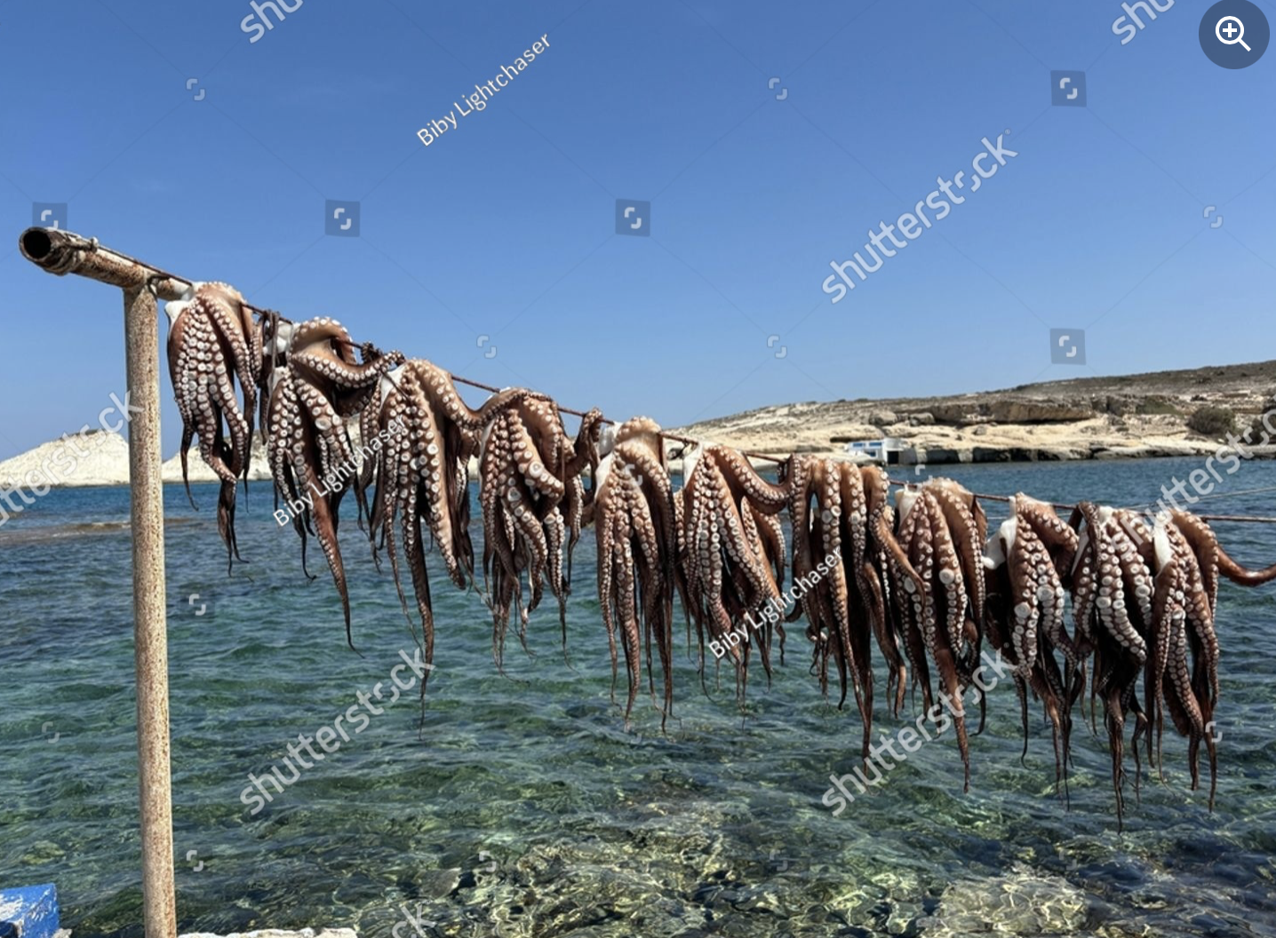 bildschirmfoto 2026 01 02 um 02.25.14