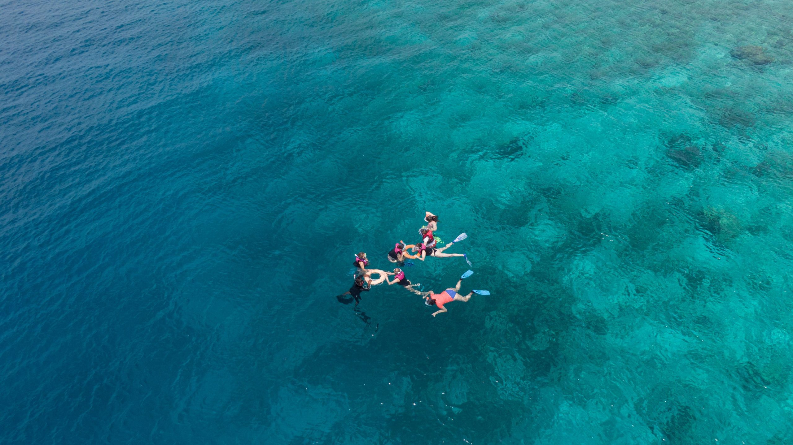 Aerial shot of a group snorkeling in clear turquoise waters near Dhonfanu, Maldives.